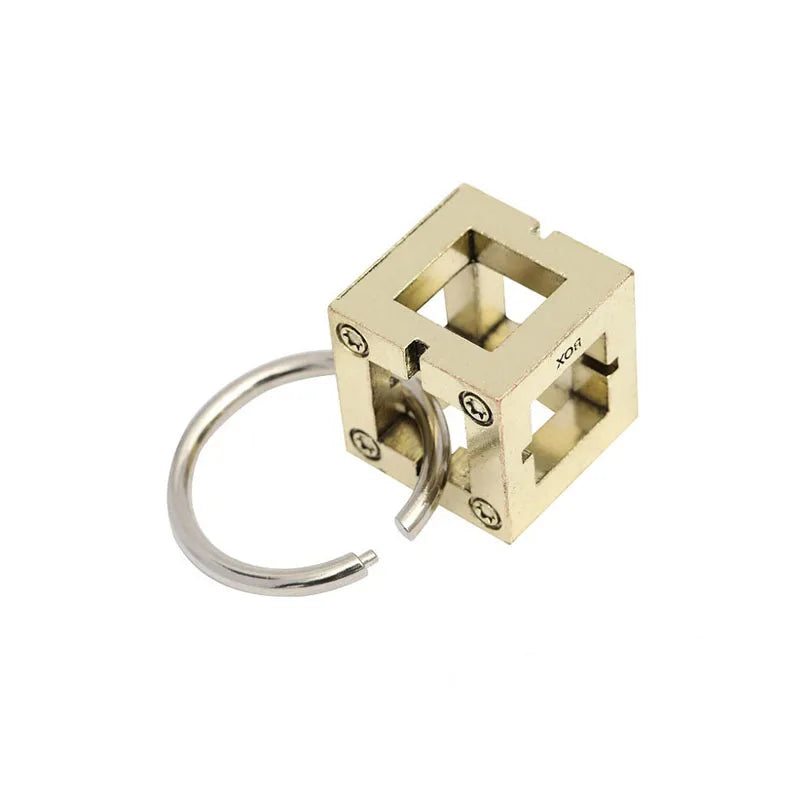 Metal Puzzle Brain Teaser IQ Test - Educational Mind Challenge for Adults and Children